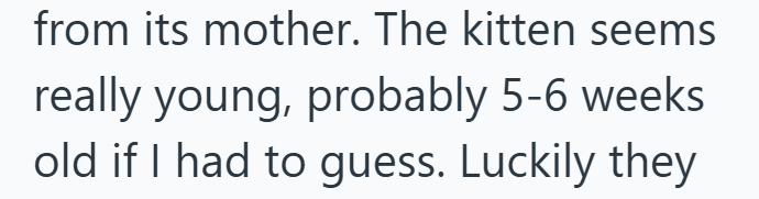 from its mother. The kitten seems really young, probably 5-6 weeks old if I had to guess. Luckily they