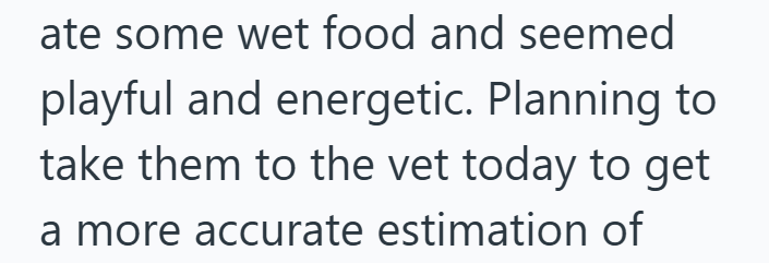 ate some wet food and seemed playful and energetic. Planning to take them to the vet today to get a more accurate estimation of