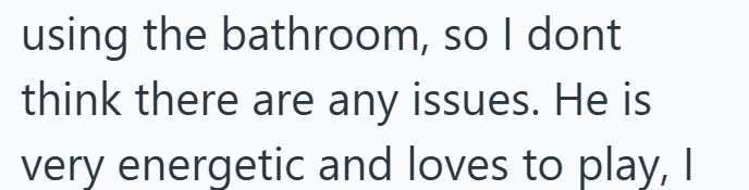 using the bathroom, so I dont think there are any issues. He is very energetic and loves to play, I