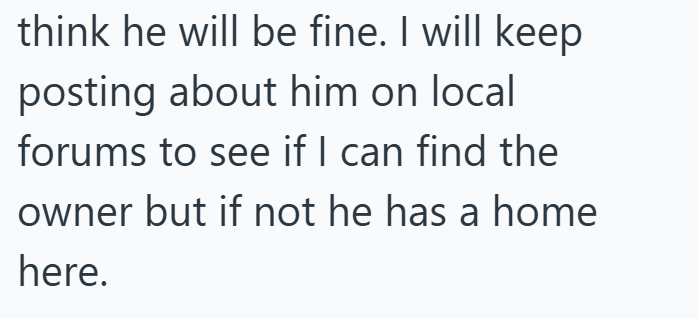 think he will be fine. I will keep posting about him on local forums to see if I can find the owner but if not he has a home here.