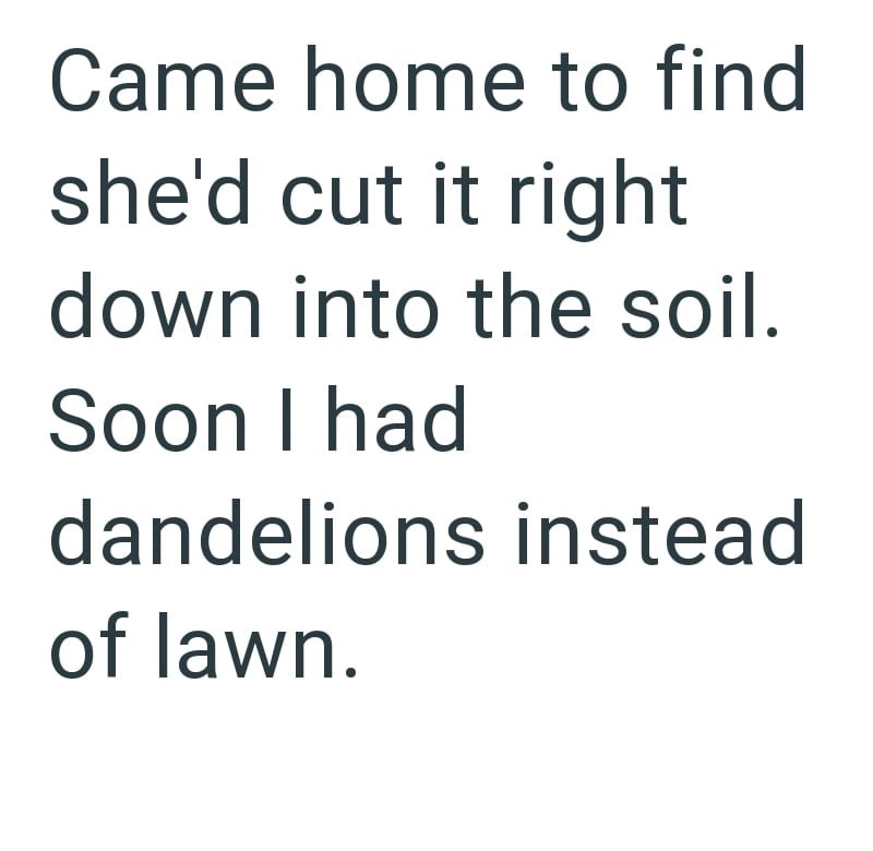 Came home to find she'd cut it right down into the soil. Soon I had dandelions instead of lawn.