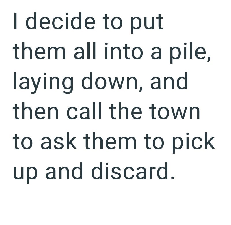 I decide to put them all into a pile, laying down, and then call the town to ask them to pick up and discard.