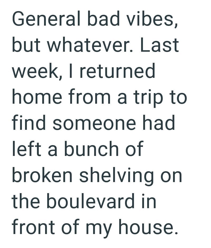 General bad vibes, but whatever. Last week, I returned home from a trip to find someone had left a bunch of broken shelving on the boulevard in front of my house.