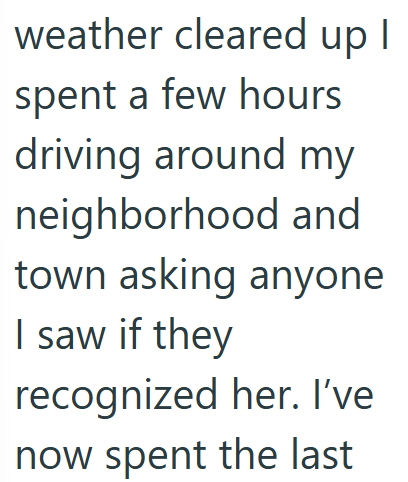 weather cleared up I spent a few hours driving around my neighborhood and town asking anyone I saw if they recognized her. I've now spent the last