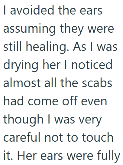 I avoided the ears assuming they were still healing. As I was drying her I noticed almost all the scabs had come off even though I was very careful not to touch it. Her ears were fully