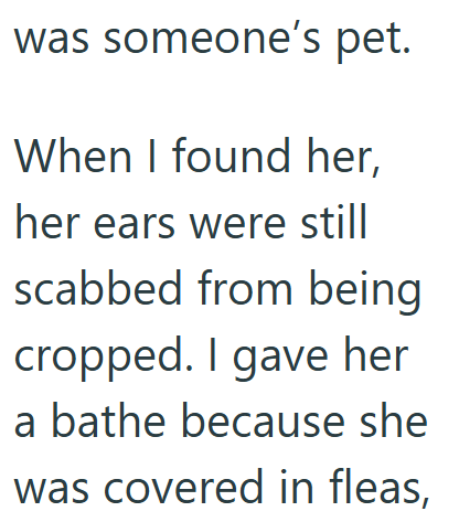 was someone's pet. When I found her, her ears were still scabbed from being cropped. I gave her a bathe because she was covered in fleas,
