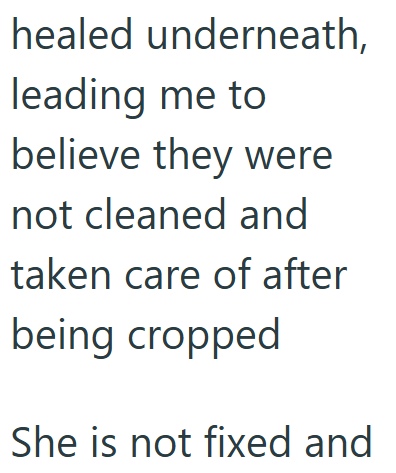 healed underneath, leading me to believe they were not cleaned and taken care of after being cropped She is not fixed and