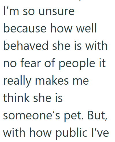 I'm so unsure because how well behaved she is with no fear of people it really makes me think she is someone's pet. But, with how public I've
