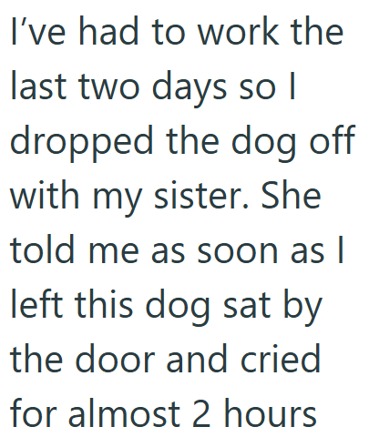 I've had to work the last two days so I dropped the dog off with my sister. She told me as soon as I left this dog sat by the door and cried for almost 2 hours