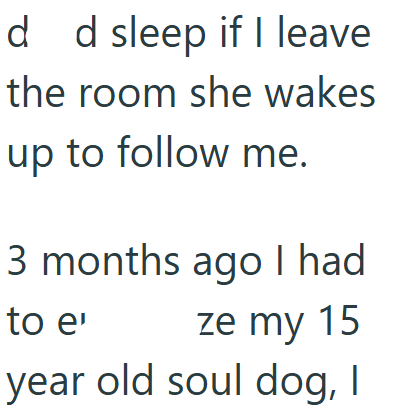 d d sleep if I leave the room she wakes up to follow me. 3 months ago I had to e' ze my 15 year old soul dog, I