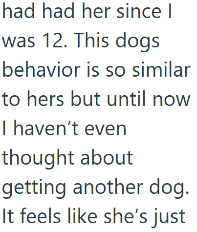had had her since I was 12. This dogs behavior is so similar to hers but until now I haven't even thought about getting another dog. It feels like she's just