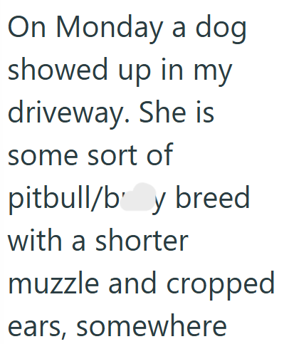 On Monday a dog showed up in my driveway. She is some sort of pitbull/b y breed with a shorter muzzle and cropped ears, somewhere