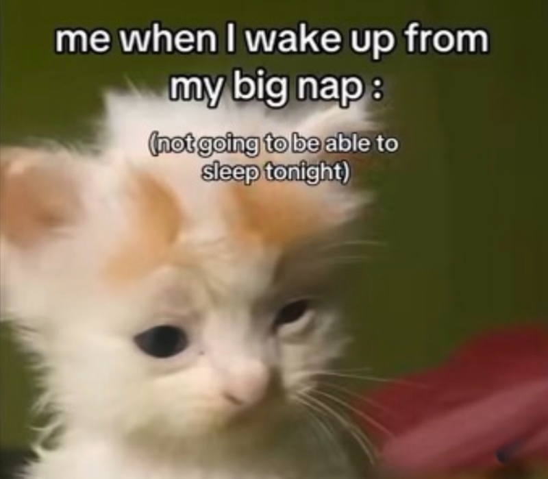 me when I wake up from my big nap: (not going to be able to sleep tonight)