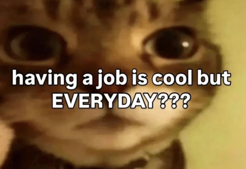having a job is cool but EVERYDAY???