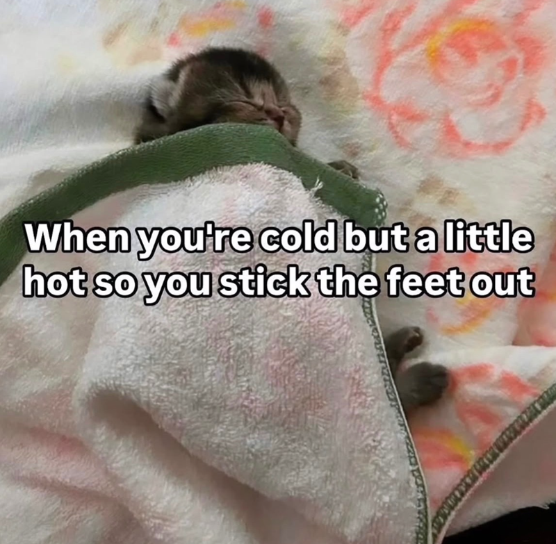 When you're cold but a little hot so you stick the feet out