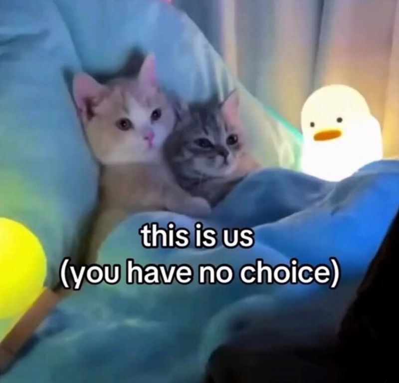 this is us (you have no choice)