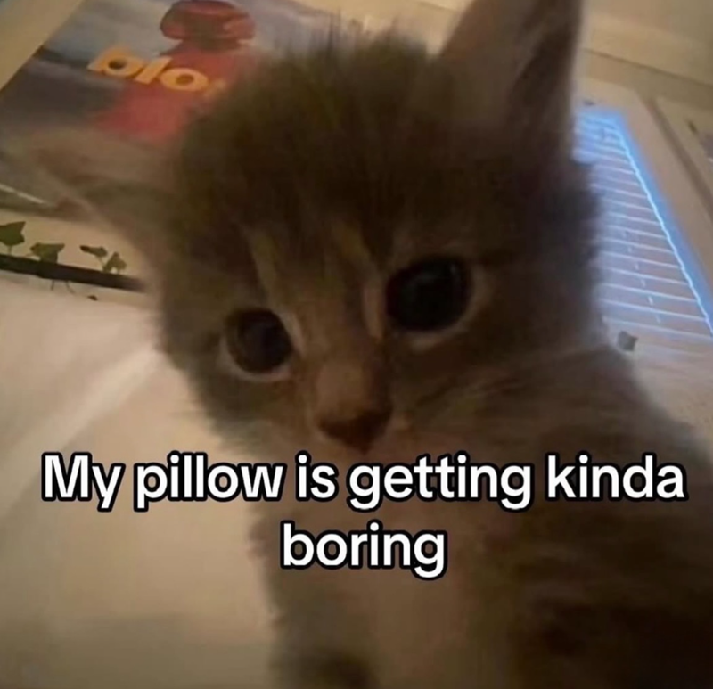 lo My pillow is getting kinda boring