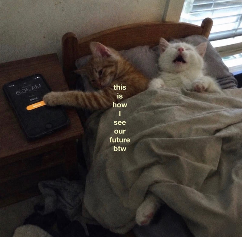 6:06 AM Alarm Snooze this is how - I see our future btw