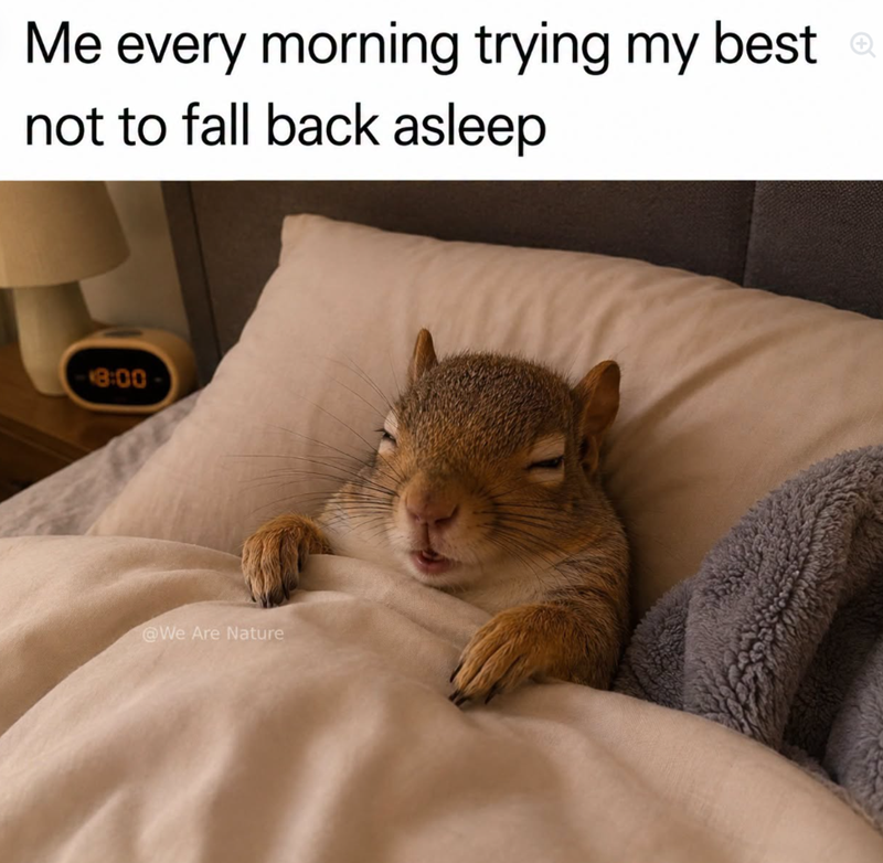 Me every morning trying my best. not to fall back asleep 8:00 @We Are Nature