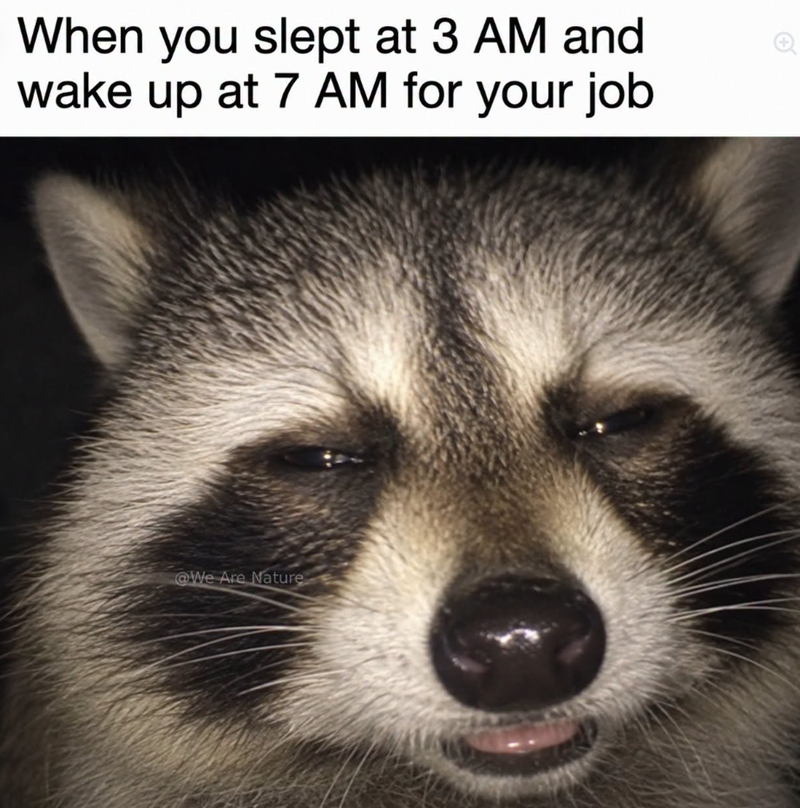 When you slept at 3 AM and wake up at 7 AM for your job @We Are Nature