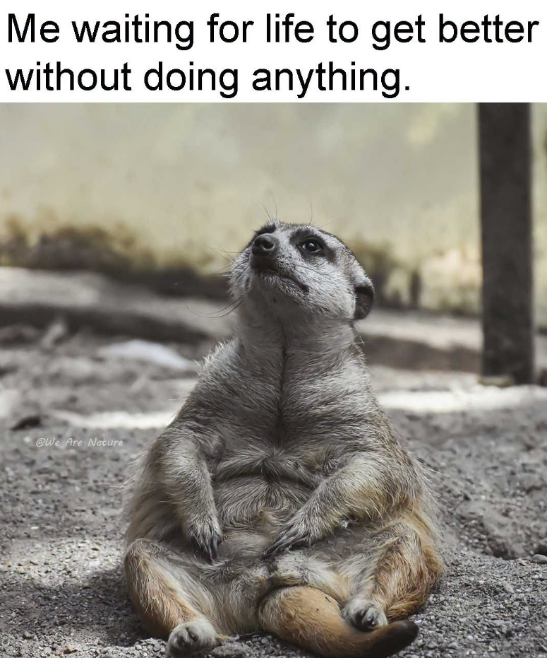Me waiting for life to get better without doing anything. @We Are Nature