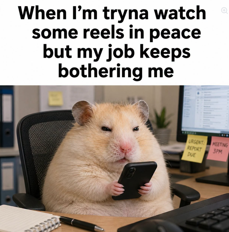 When I'm tryna watch some reels in peace but my job keeps bothering me We Are Nature URGENT: MEETING REPORT DUE 3PM 1000