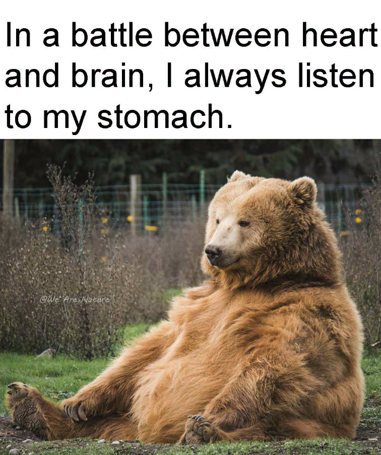 In a battle between heart and brain, I always listen to my stomach. @We Are Nature