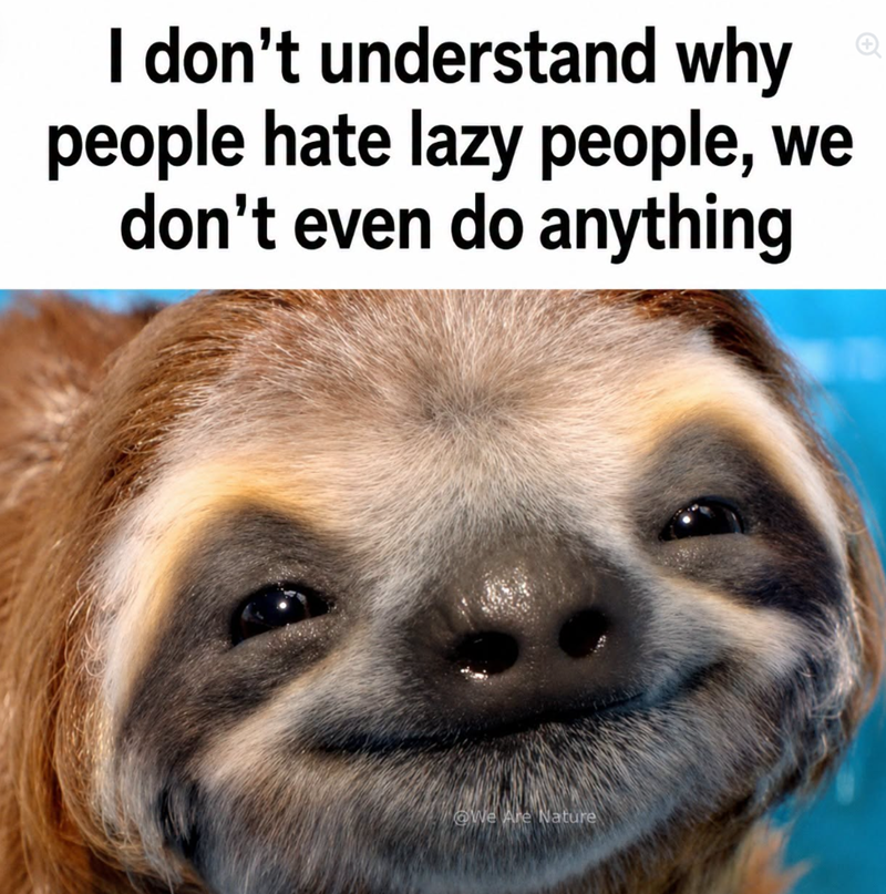 I don't understand why people hate lazy people, we don't even do anything We Are Nature