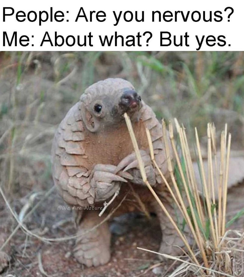 People: Are you nervous? Me: About what? But yes. @We Are Nature