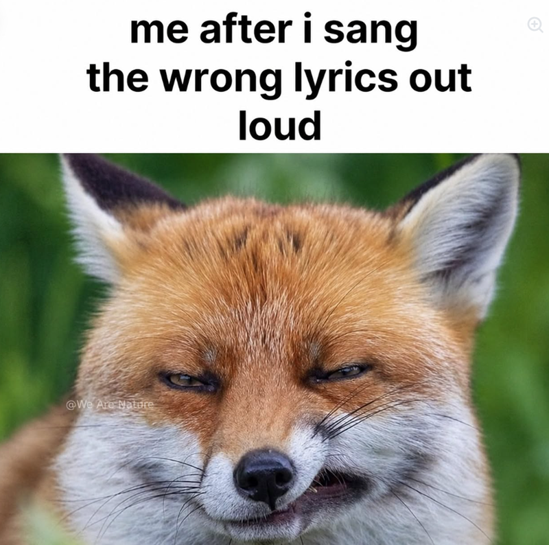 me after i sang the wrong lyrics out loud @We Are Nature