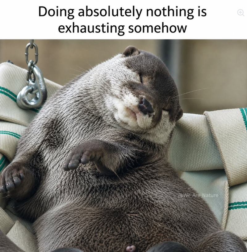 Doing absolutely nothing is exhausting somehow We Are Nature