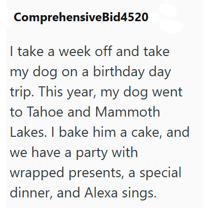Comprehensive Bid4520 I take a week off and take my dog on a birthday day trip. This year, my dog went to Tahoe and Mammoth Lakes. I bake him a cake, and we have a party with wrapped presents, a special dinner, and Alexa sings.