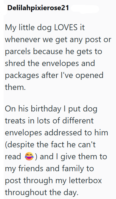 Delilahpixierose21 My little dog LOVES it whenever we get any post or parcels because he gets to shred the envelopes and packages after I've opened them. On his birthday I put dog treats in lots of different envelopes addressed to him (despite the fact he can't read ) and I give them to my friends and family to post through my letterbox throughout the day.