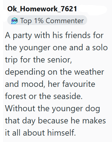 Ok Homework_7621 Top 1% Commenter A party with his friends for the younger one and a solo trip for the senior, depending on the weather and mood, her favourite forest or the seaside. Without the younger dog that day because he makes it all about himself.