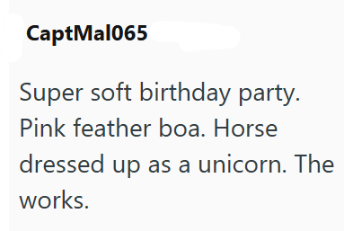 CaptMal065 Super soft birthday party. Pink feather boa. Horse dressed up as a unicorn. The works.