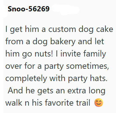 Snoo-56269 I get him a custom dog cake from a dog bakery and let him go nuts! I invite family over for a party sometimes, completely with party hats. And he gets an extra long walk n his favorite trail