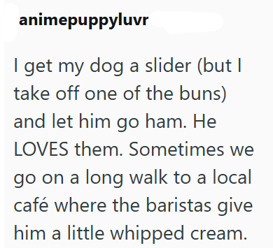 animepuppyluvr I get my dog a slider (but I take off one of the buns) and let him go ham. He LOVES them. Sometimes we go on a long walk to a local café where the baristas give him a little whipped cream.