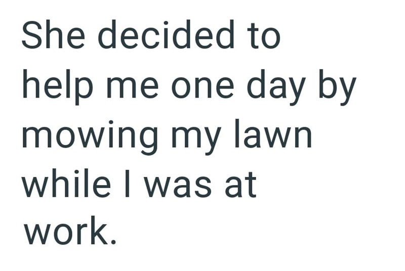 She decided to help me one day by mowing my lawn while I was at work.