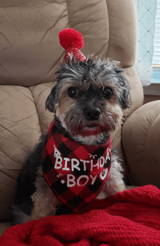 BIRTHO BOY