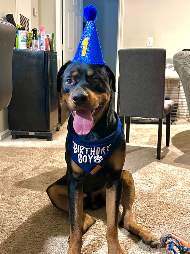 BIRTHDAY BOY