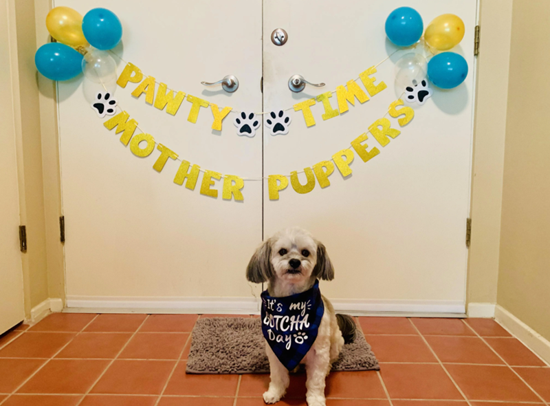 TIME PUPPERS PAWTY MOTHER It's my TCHA Day