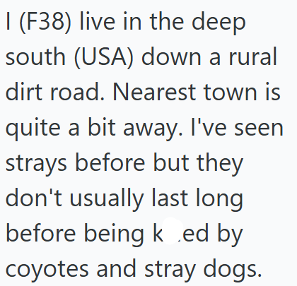 I (F38) live in the deep south (USA) down a rural dirt road. Nearest town is quite a bit away. I've seen strays before but they don't usually last long before being ked by coyotes and stray dogs.