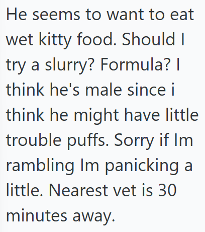 He seems to want to eat wet kitty food. Should I try a slurry? Formula? | think he's male since i think he might have little trouble puffs. Sorry if Im rambling Im panicking a little. Nearest vet is 30 minutes away.