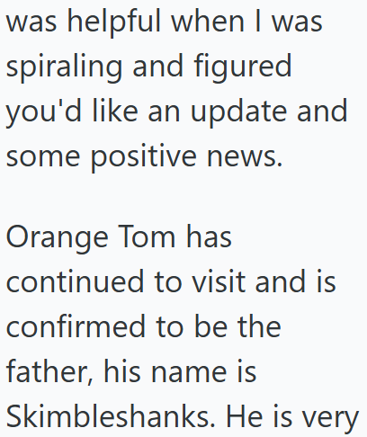 was helpful when I was spiraling and figured you'd like an update and some positive news. Orange Tom has continued to visit and is confirmed to be the father, his name is Skimbleshanks. He is very