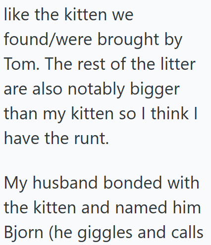 like the kitten we found/were brought by Tom. The rest of the litter are also notably bigger than my kitten so I think I have the runt. My husband bonded with the kitten and named him Bjorn (he giggles and calls