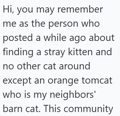 Hi, you may remember me as the person who posted a while ago about finding a stray kitten and no other cat around except an orange tomcat who is my neighbors' barn cat. This community