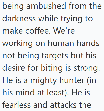 being ambushed from the darkness while trying to make coffee. We're working on human hands not being targets but his desire for biting is strong. He is a mighty hunter (in his mind at least). He is fearless and attacks the
