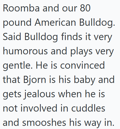 Roomba and our 80 pound American Bulldog. Said Bulldog finds it very humorous and plays very gentle. He is convinced that Bjorn is his baby and gets jealous when he is not involved in cuddles and smooshes his way in.