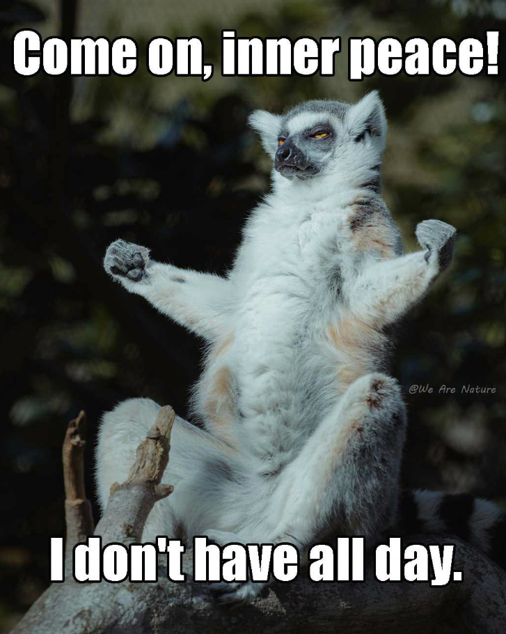Come on, inner peace! @We Are Nature I don't have all day.