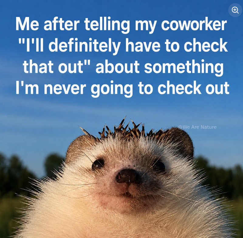 Me after telling my coworker "I'll definitely have to check that out" about something I'm never going to check out @We Are Nature